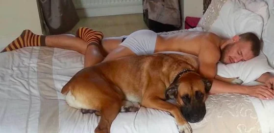 McGregor dice addio al suo cane